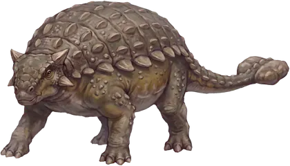 Boiler, an Ankylosaurus, six tons and wider than a car, armoured and low to the ground.