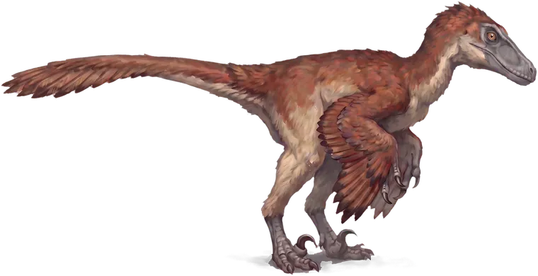 A small, long-tailed feathered dinosaur