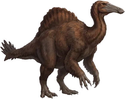 Deinocheirus, a very large ornithomimosaur with a humped back, a broad duck-like bill and enormously long arms.