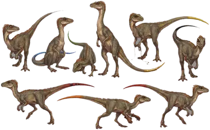 The Tick-Tocks, nine Compsognathus about a yard long, each with a differently painted tail.